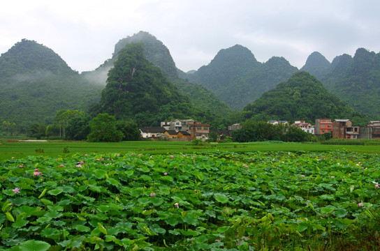 乡村风光