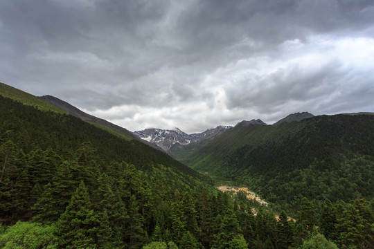 四川黄龙雪山峡谷森林