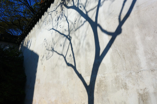 墙壁上的影子