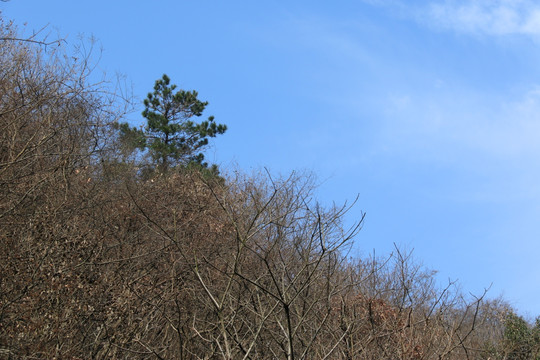 木兰天池风景