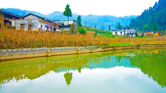 鱼塘 山村