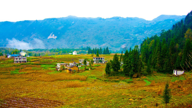 山村 山地