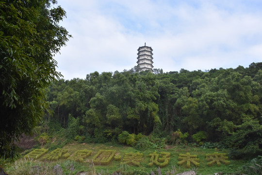 自然家园美好未来