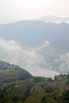 山野