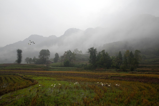 农村风景