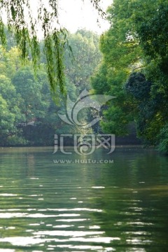 南方景观