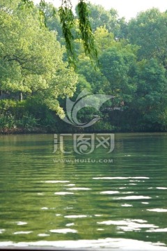 南方景观