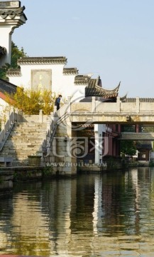 南方景观