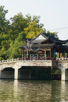 南方景观