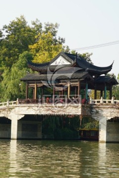 南方景观