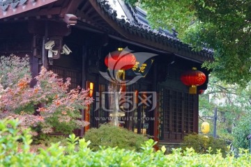 南方景观