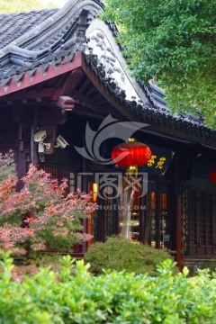 南方景观
