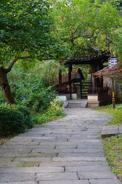 南方风景