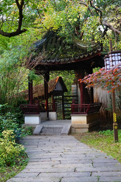 南方风景