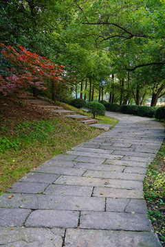 南方风景
