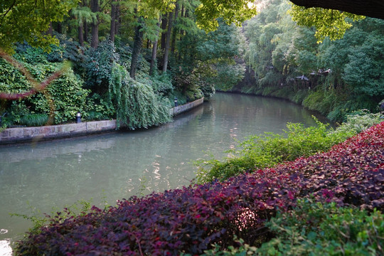 南方风景