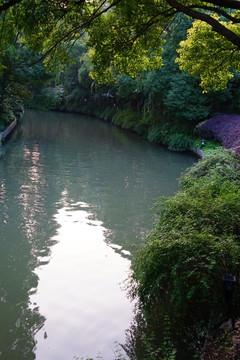 南方风景