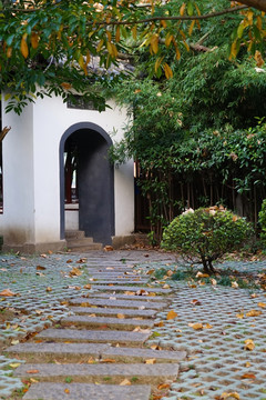 南方风景