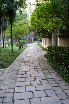 南方风景