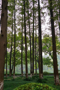 江南风景