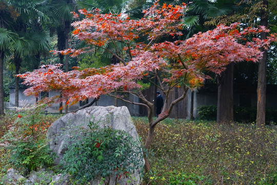 江南风景