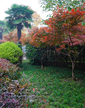 江南风景