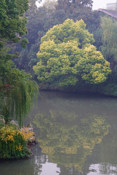 江南风景