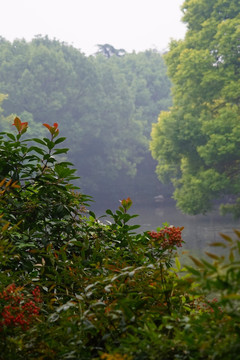 江南风景