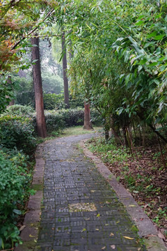 江南风景
