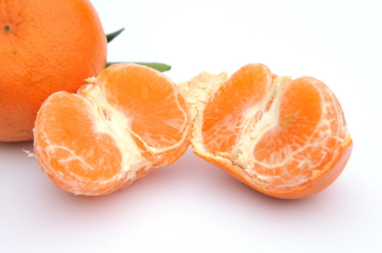 口子津柑橘