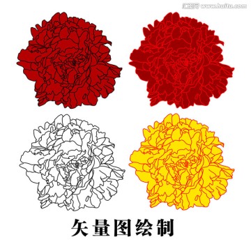 牡丹花