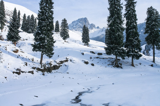 天山山脉积雪