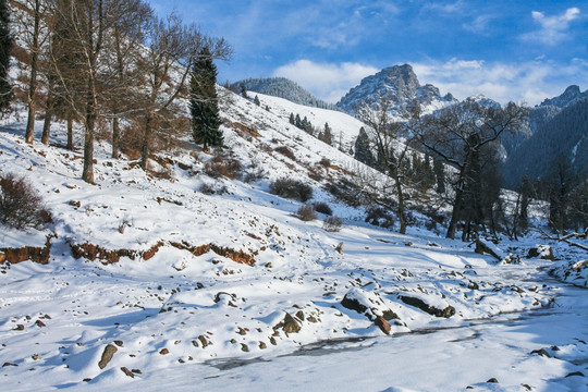 天山山脉积雪