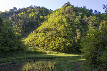 贵州山野
