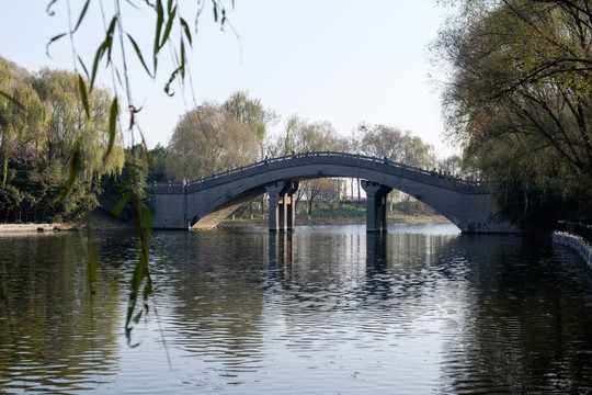灞陵桥