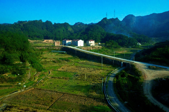 田野