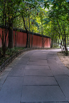 红墙 小径 竹林
