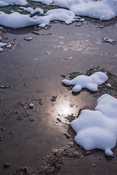 雪地