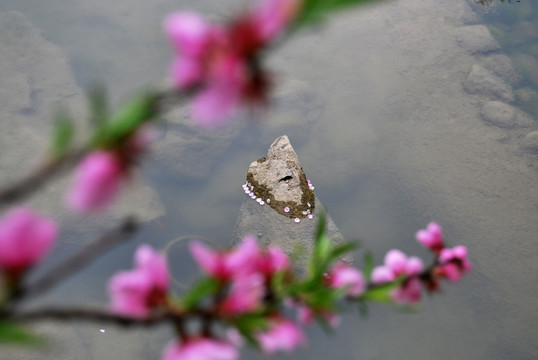 桃花源