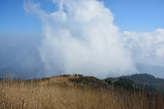 天目山自然保护区