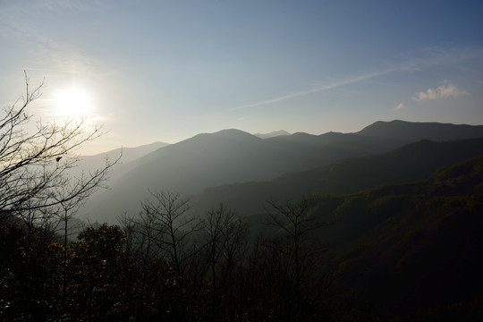 天目山自然保护区