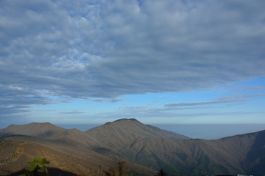 天目山自然保护区