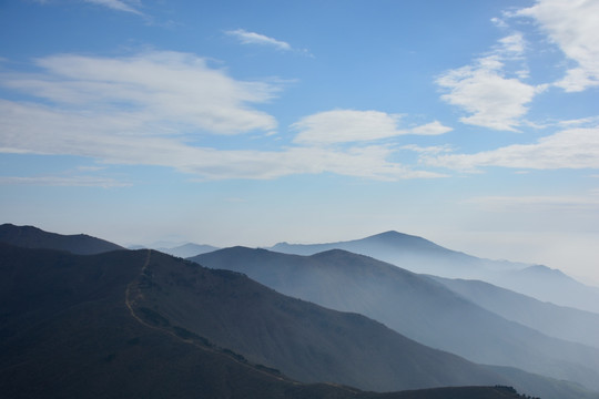 天目山自然保护区