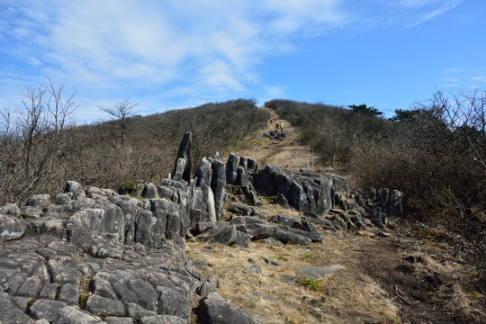 七尖山龙鳞坡 天目山