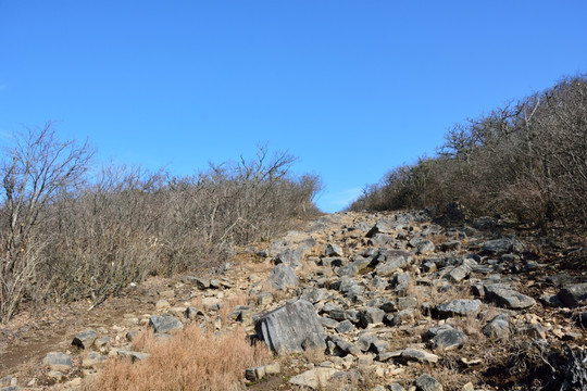 天目山自然保护区