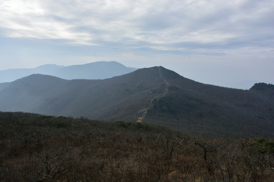 天目山自然保护区