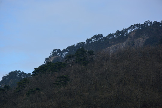 天目山自然保护区