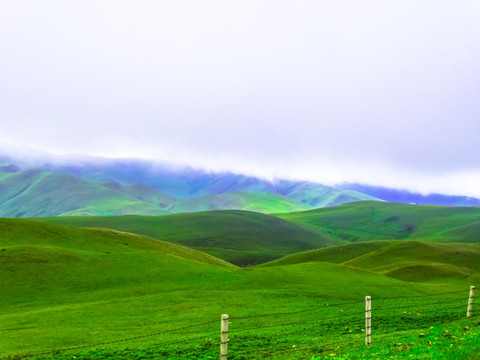 高山牧场