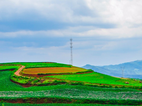 东川红土地