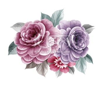 粉紫花